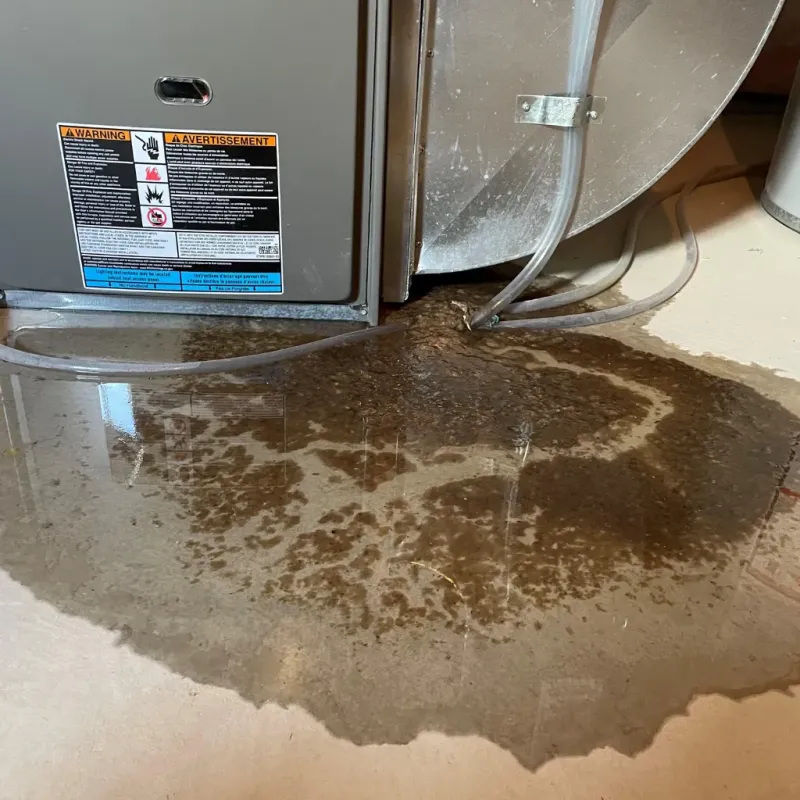 Appliance Leak Cleanup in Lincoln County, OK